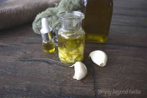 Diy Garlic Oil Ear Drops Recipe Simplybeyondherbs