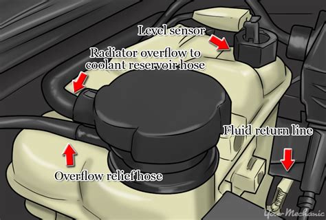 Oil In Coolant Reservoir Causes How To Fix It