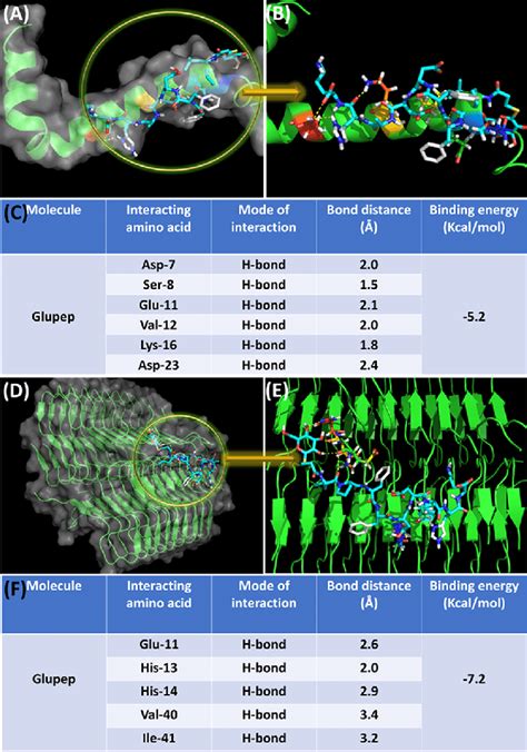 A Molecular Docking Experiment Of Glupep With The Aβ42 Peptide