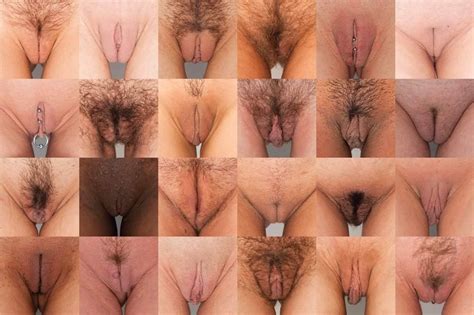 Pussy Types Whats Your Favorite Imgur