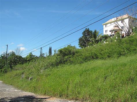 Residential Lot For Sale In New Green Manchester Jamaica