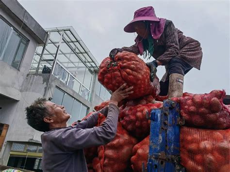 从“土里刨食”到“土里掘金”澎湃号·政务澎湃新闻 The Paper