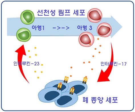 서울대학교병원