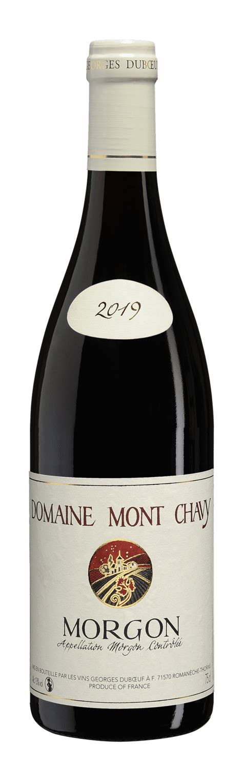 Vin Morgon 2022 Domaine De La Chaponne