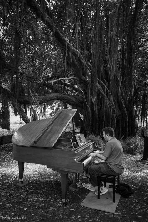 Flower Piano Davegolden Flickr