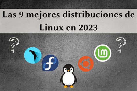 Las 9 Mejores Distribuciones De Linux 2023 RICARDEV