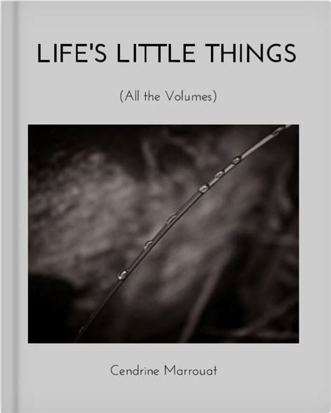 Life S Little Things Series ~ Cendrine Marrouat Artist