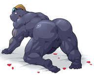 Post 5509033 Machoke Maldu Porkyman