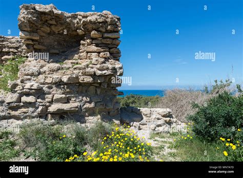 Visiting Ashkelon National Park, Israel Stock Photo - Alamy