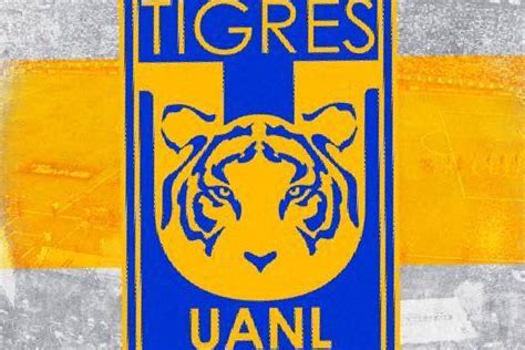 Refuerzos De Tigres Fichajes Altas Bajas Y Rumores Liga Mx