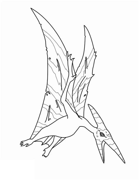 Desenhos De Pterod Ctilo Para Colorir E Imprimir Colorironline The