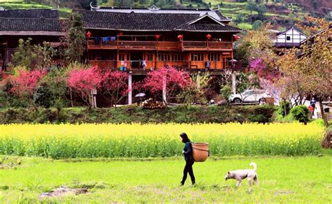 “壮丽70年，奋斗新时代”娄底首届风光摄影展——火红的奉嘎山 娄底 江源 奉家山 新浪新闻