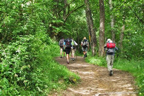 Senderismo orígenes característcas tipos Vive la Naturaleza