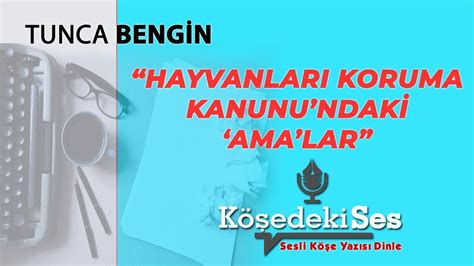 TUNCA BENGİN Hayvanları Koruma Kanunu ndaki Ama lar 3 Temmuz 2021