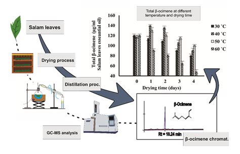 Effect Of Drying Time And Temperature To The Chemical Properties And