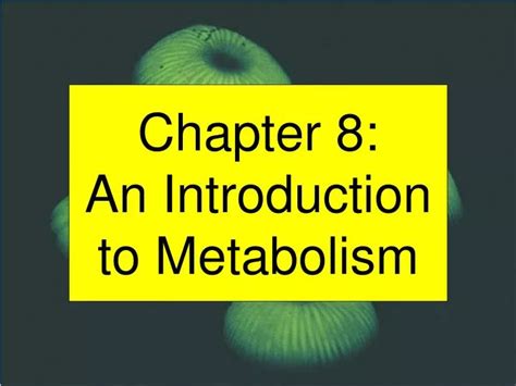 Ppt Chapter 8 An Introduction To Metabolism Powerpoint Presentation