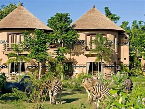 Mara River Safari Lodge Hotel Bali Indonesia Jom Escape