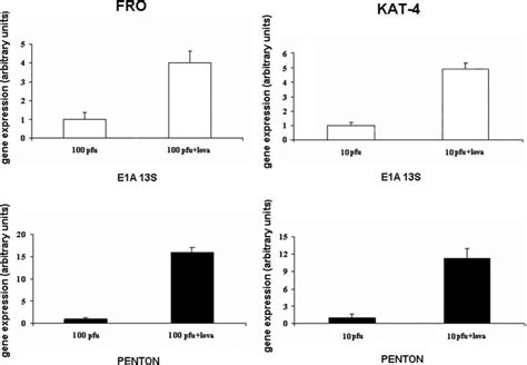 Lovastatin Increases Viral Gene Expression In ATC Cells FRO And KAT 4