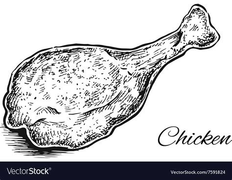 Black And White Hand Drawn Fried Chicken Leg Vector Image