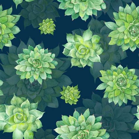 Watercolor Succulent Background At Getdrawings Free Download