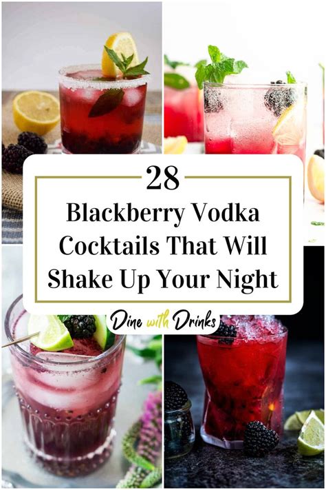 28 Blackberry Vodka Cocktails That Will Shake Up Your Night