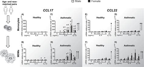 Sex Differences In M2 Polarization Chemokine And Il 4 Receptors In