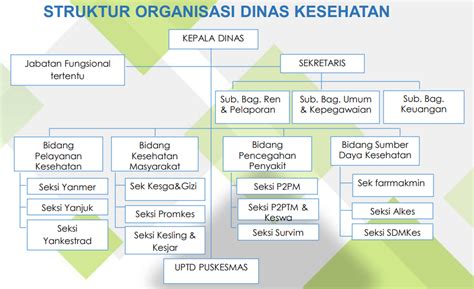 STRUKTUR ORGANISASI Dinas Kesehatan