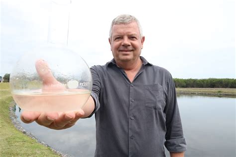 Parque Orla Piratininga Primeiro Sistema De Jardins Filtrantes J Est