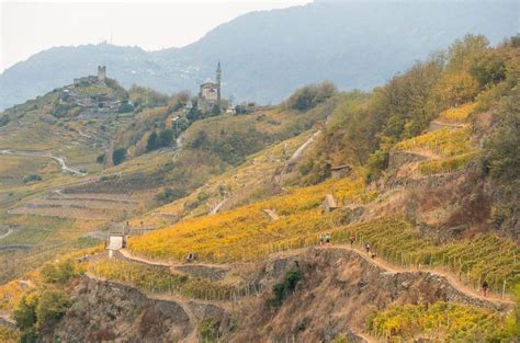 Valtellina Wine Trail Di Corsa Tra Borghi E Vigneti