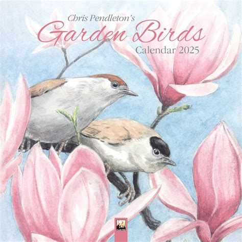 Garden Birds Kalender 2025 Kopen Eenvoudig En Snel Online