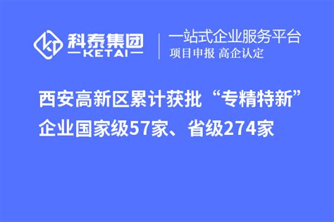 西安高新区累计获批“专精特新”企业国家级57家、省级274家专精特新科泰集团