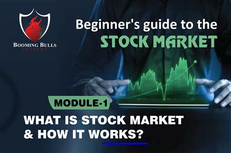 Best Beginner S Guide To The Stock Market Module 1 What Is A Stock Market And How It Works