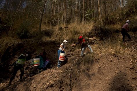 El Fuego De Muerte Y Destrucción En Los Bosques Del Perú Rumbos De