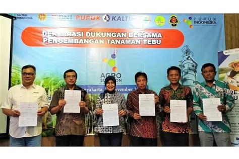 Potensi Tinggi Dorong Petani Tebu Diy Tingkatkan Produktivitas Krjogja