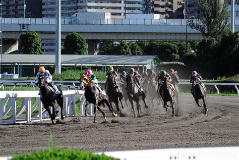 大井競馬場：ナイター観戦がアツイ！地方競馬を牽引する東京シティ競馬（tck）の魅力 おすすめ旅行を探すならトラベルブックtravelbook