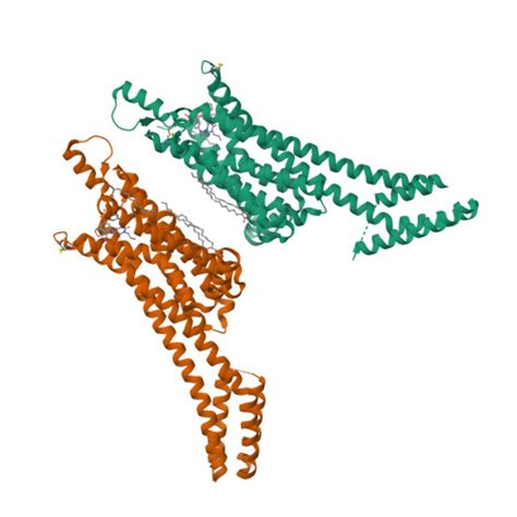 Rcsb Pdb Uen Crystal Structure Of The Human Adenosine A Receptor