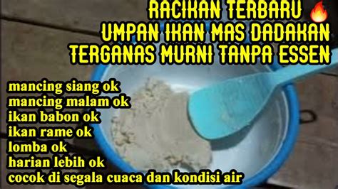 Racikan Terbaru Umpan Ikan Mas Dadakan Terganas Murni Tanpa Essen