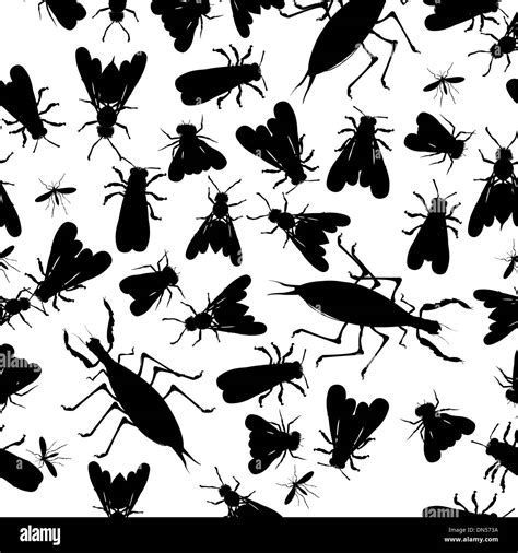 Black Insect Insects Stock Vector Images Alamy