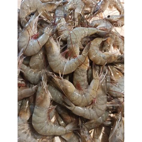 Jual Udang Faname Vaname Tambak Premium UKURAN BESAR Super 500gram