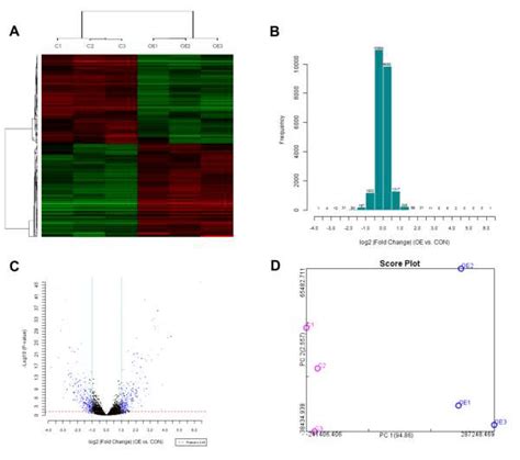 Pax Over Expression Affects The Expression Of C Cd Cfh A C Nrk