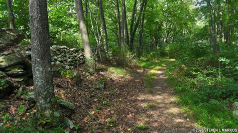 Catoctin Mountain Park Orange Trail North Loop Hike