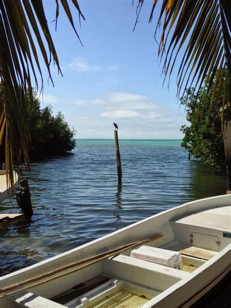 Belize — Caye Caulker - Romain’s Adventures - Medium