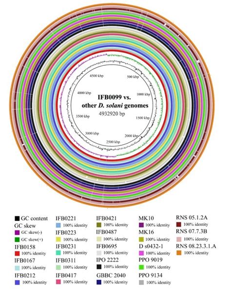 Whole Genome Comparison For 22 Dickeya Solani Strains Blast Ring Image Download Scientific