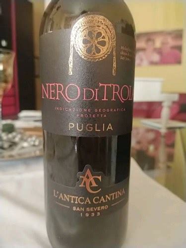 2019 L Antica Cantina Nero Di Troia Vivino US