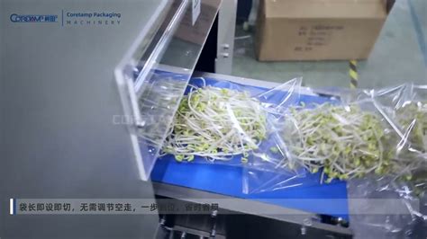 Automatic Fresh Bean Sprouts Packing Machine YouTube