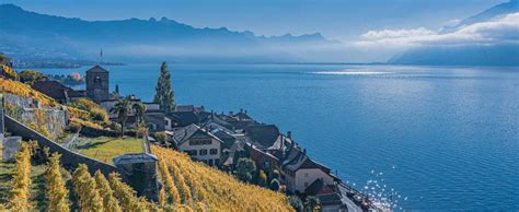 Lavaux Vineyard Terraces | Intriq Journey