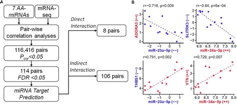 Frontiers Integrative Analysis Of MiRNA And MRNA Expression Profiles