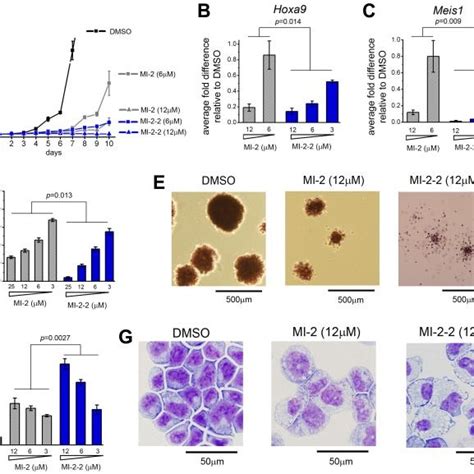 Development Of Second Generation Menin Mll Inhibitors A Structures