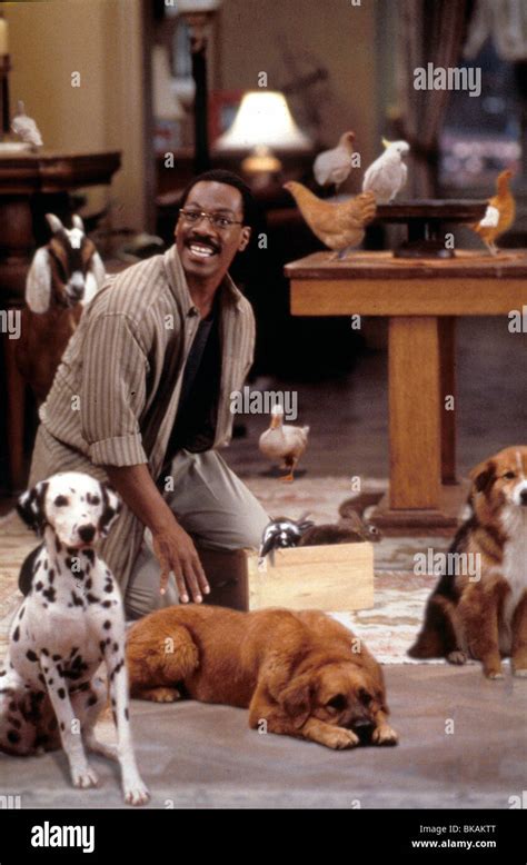 DR DOLITTLE -1998 EDDIE MURPHY Stock Photo - Alamy