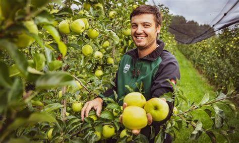 Obst Gem Se Highlights Frisch Aromatisch Spar Sterreich